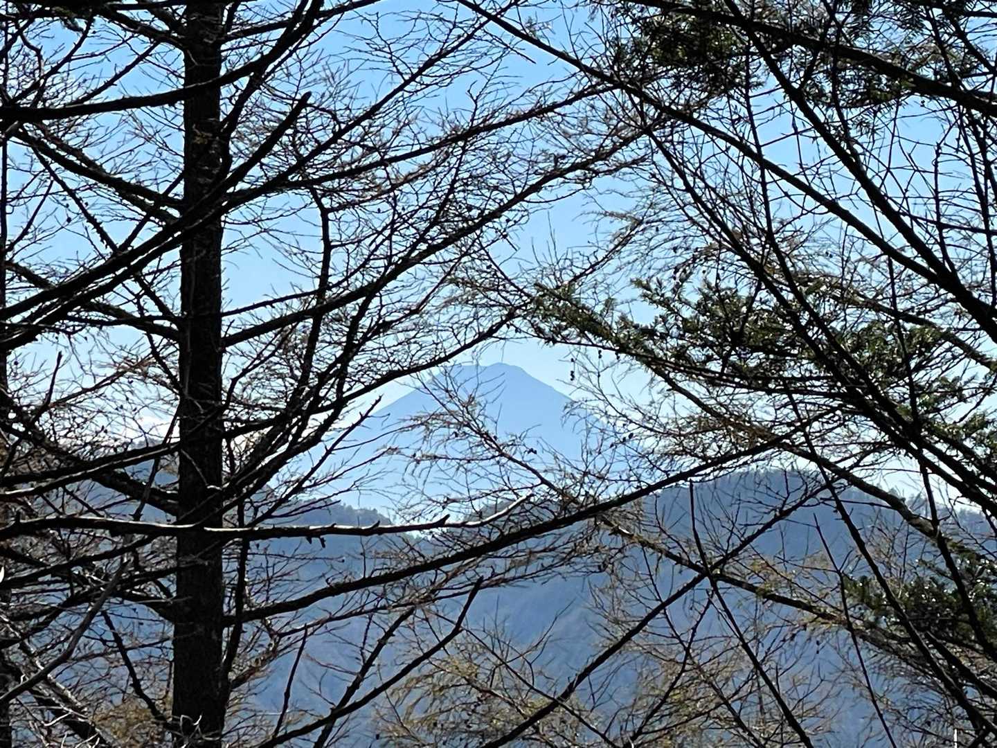 もぐもぐしなから、目の前には富士山🗻☺️