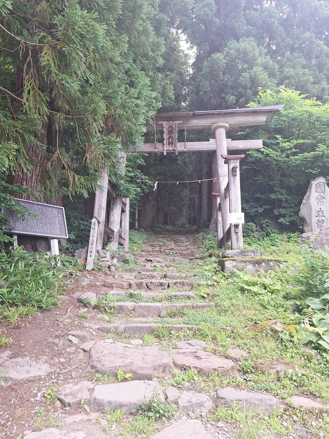 お邪魔します