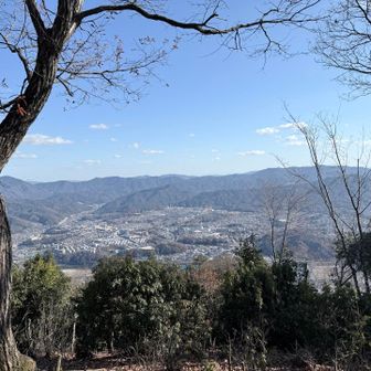 頂上からの景色。