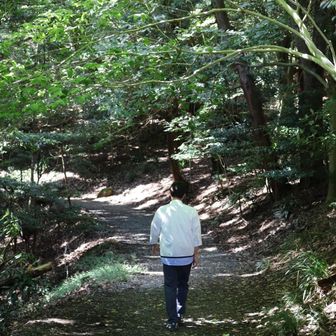 プチ登山気分♪
ココに来るまでの道が狭くて対向車よ来ないで〜と祈りながら登ってきました(笑)
相方は笑い事ではないくらい、この道で合っているのか？！と。