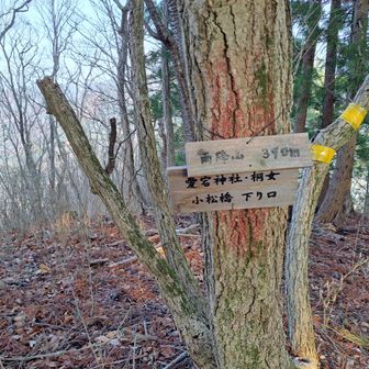 雨降山 標高290ｍ？
山頂標が2か所？
