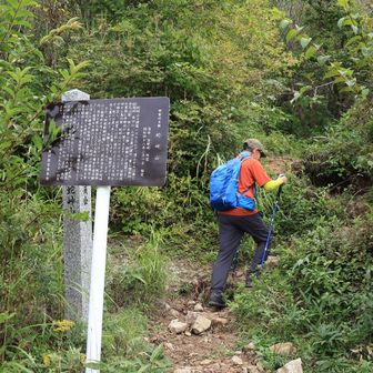 ここから登るよ