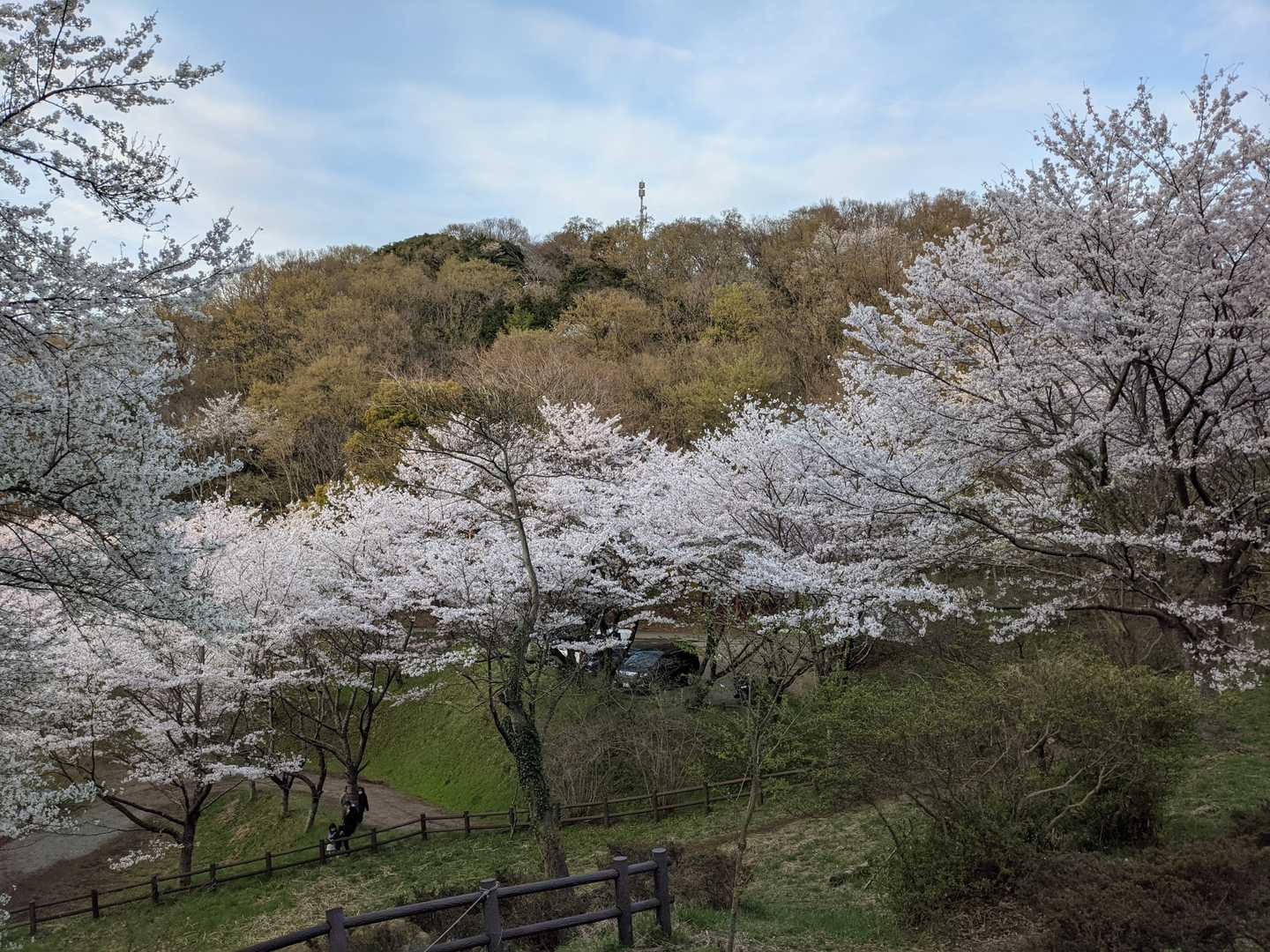 権現山-弘法山 周回コースの写真