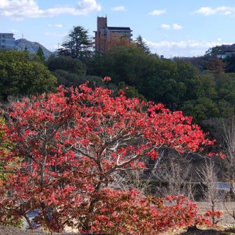 上からだとそれなりに