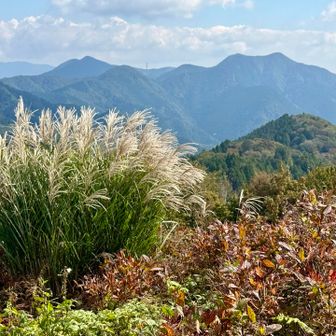 ススキのうしろに御池岳