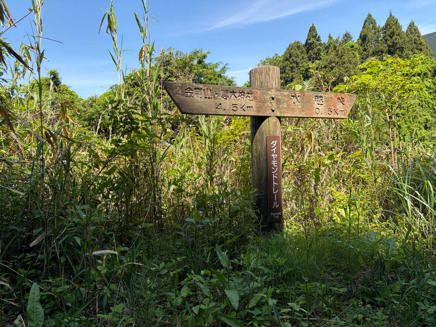 再び登っていくよ〜