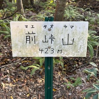 前垰山ピークハント