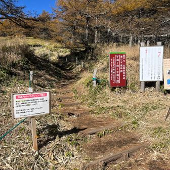 まだまだイケる！とのことですので、おかわりタイム。