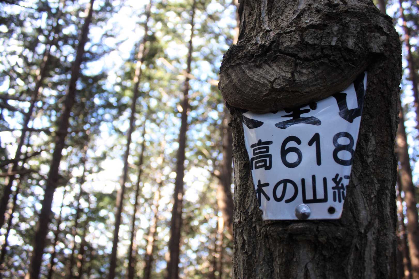 うわさの（と言ってもしばらく前）山名板。
七三分けのお顔にも見える😁