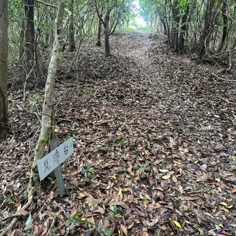 見えないと分かってますが
とりあえず見晴台へ
