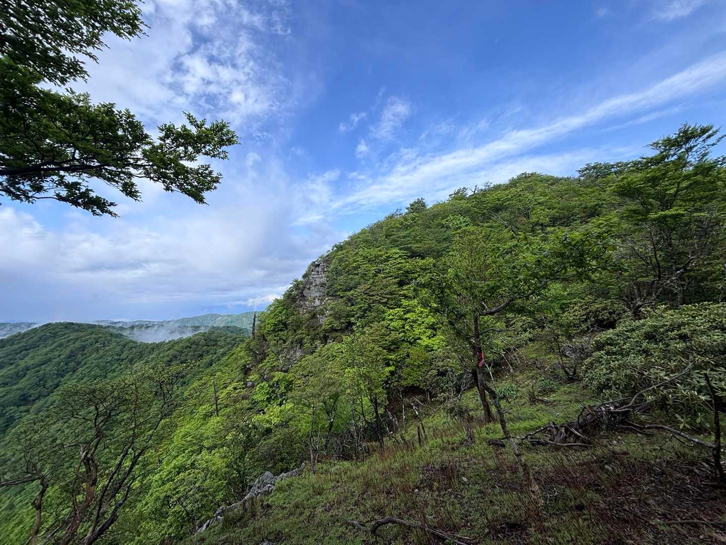 峰越登山口-椎葉越-烏帽子岳-五勇山-小国見岳-国見岳 周回コースの写真