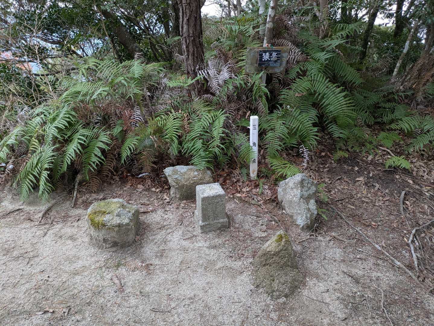 猿岳🏕️登頂です😊🙆