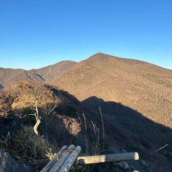 西陽が当たって、より綺麗でした