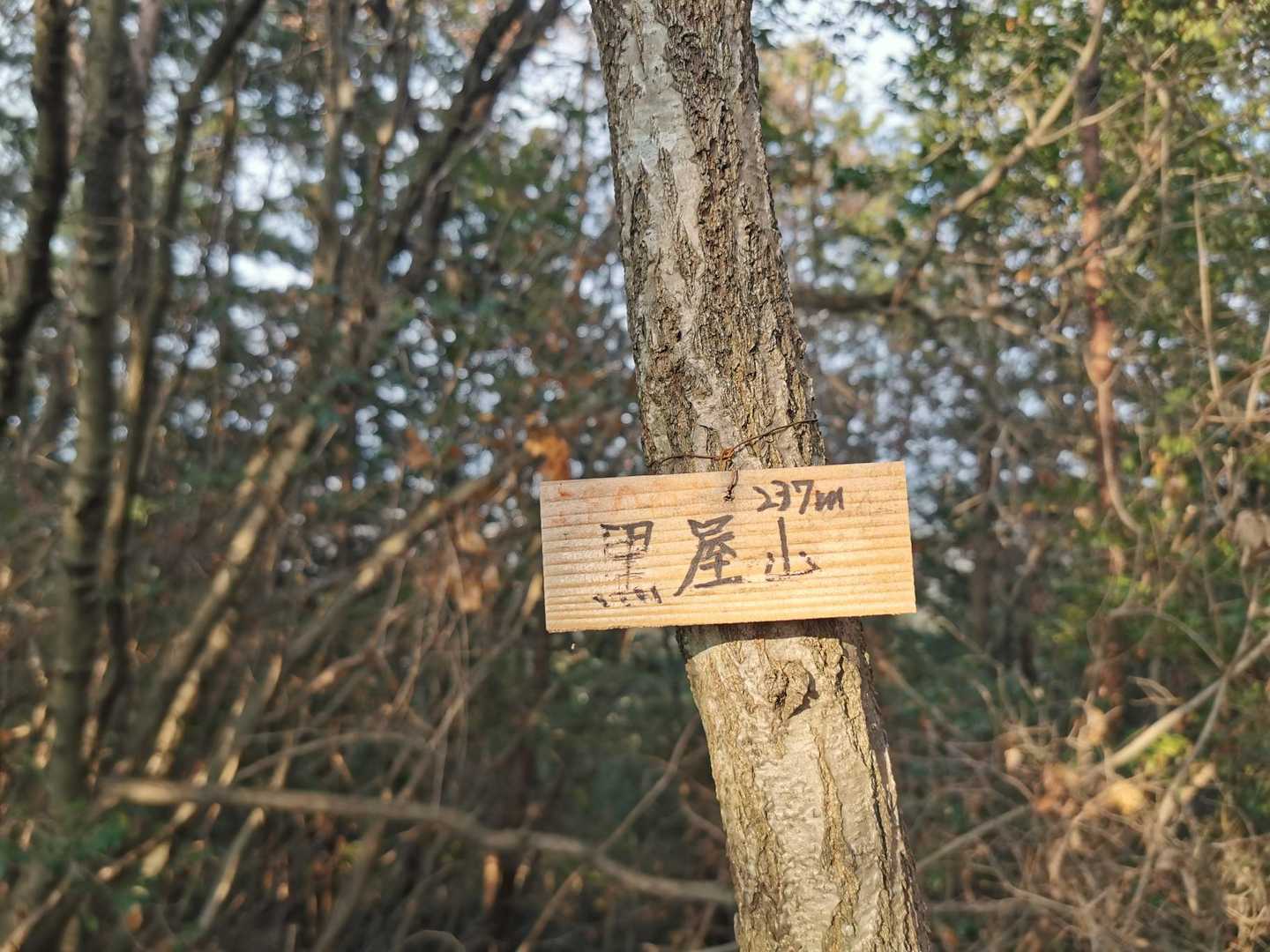 黒屋山
山頂からの眺望はありません