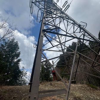 お、開けた場所が。