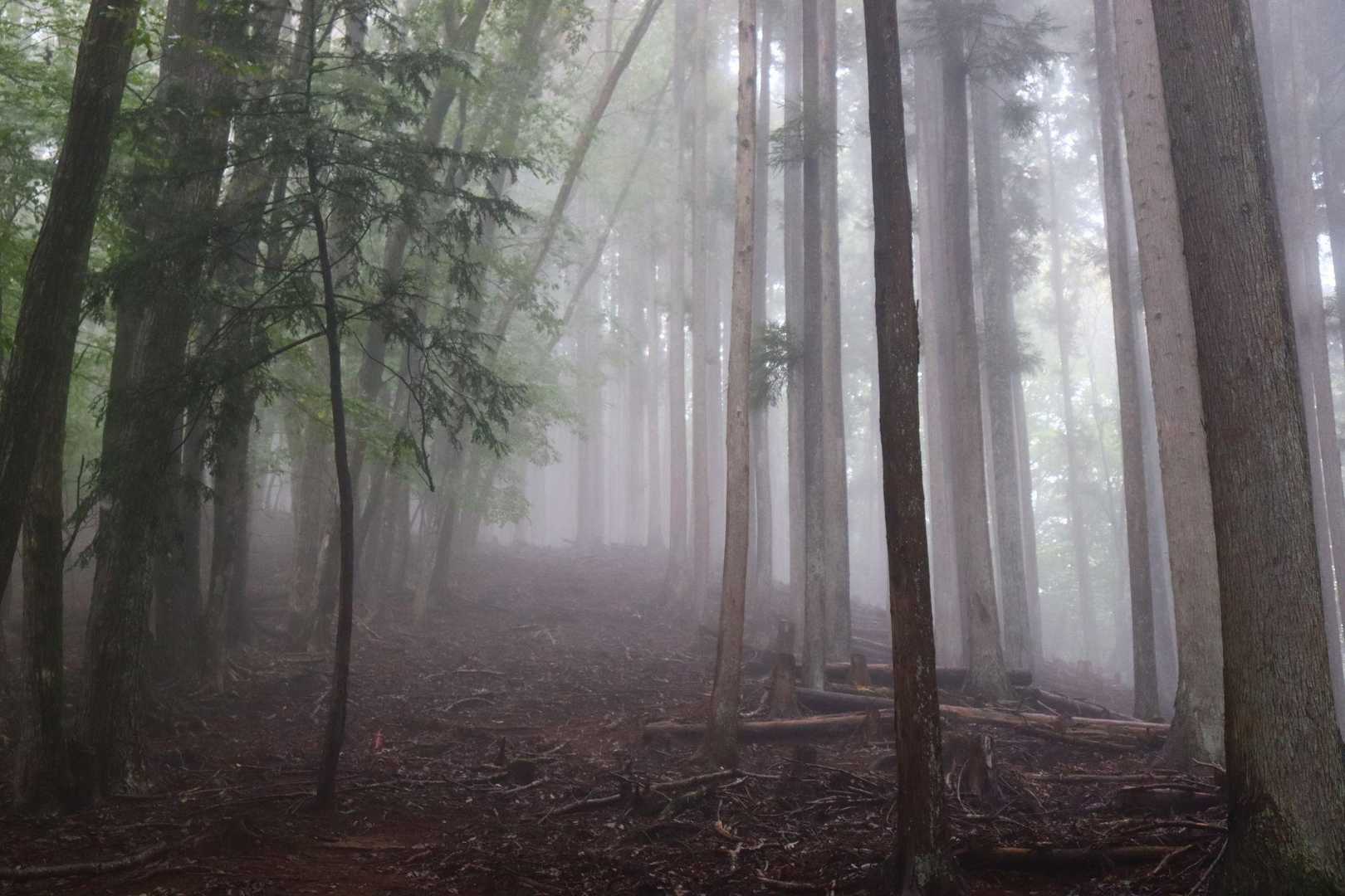 靄っています。