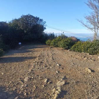 気になる岩脈。