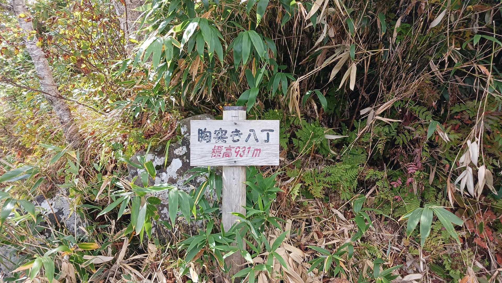 三頭山 往復コースの写真