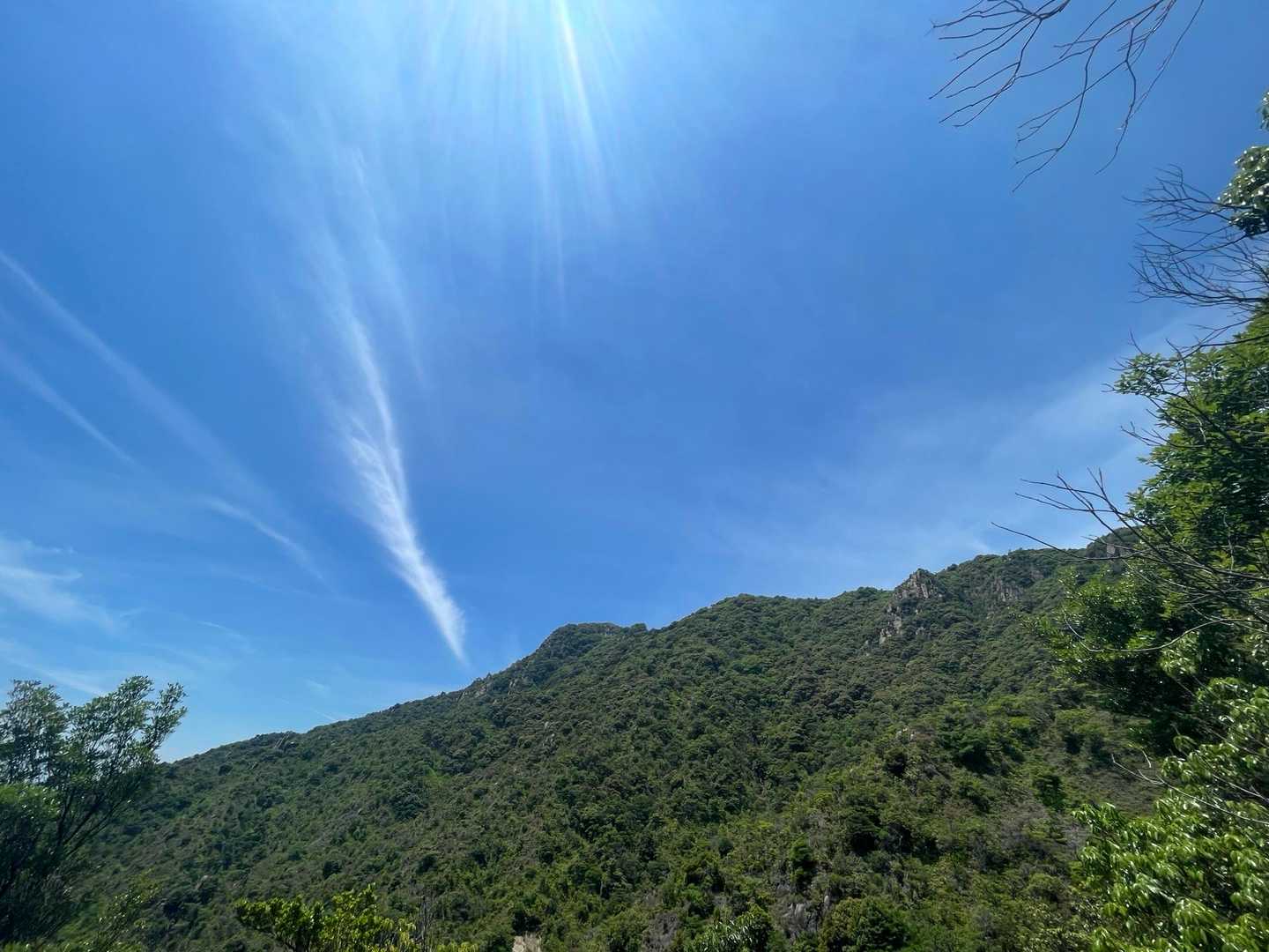 塔ノ岡コースを下山🚶街も山頂も見える景色の角度が変わって良いよね〜🙆
