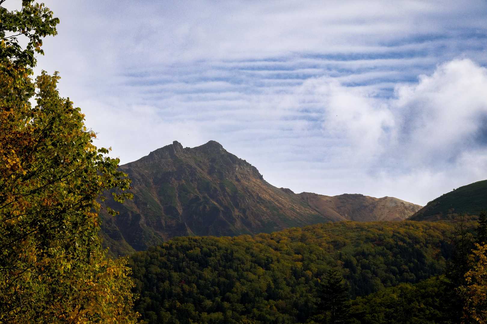 林道から振り返り山をチェック。今日は最高の登山日和です♪