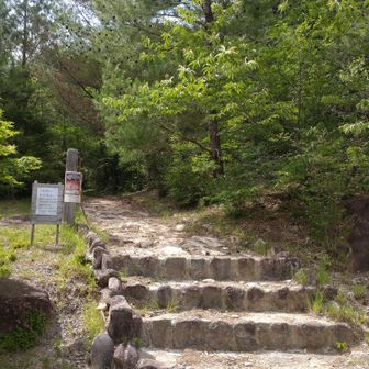 登山口に無事下山