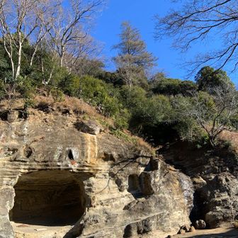 庭園の奥　
この写真では分かりづらいけど
滝の様に水が流れてます