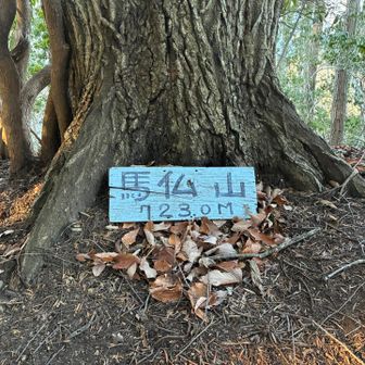 「馬仏山723.0m」山頂標識