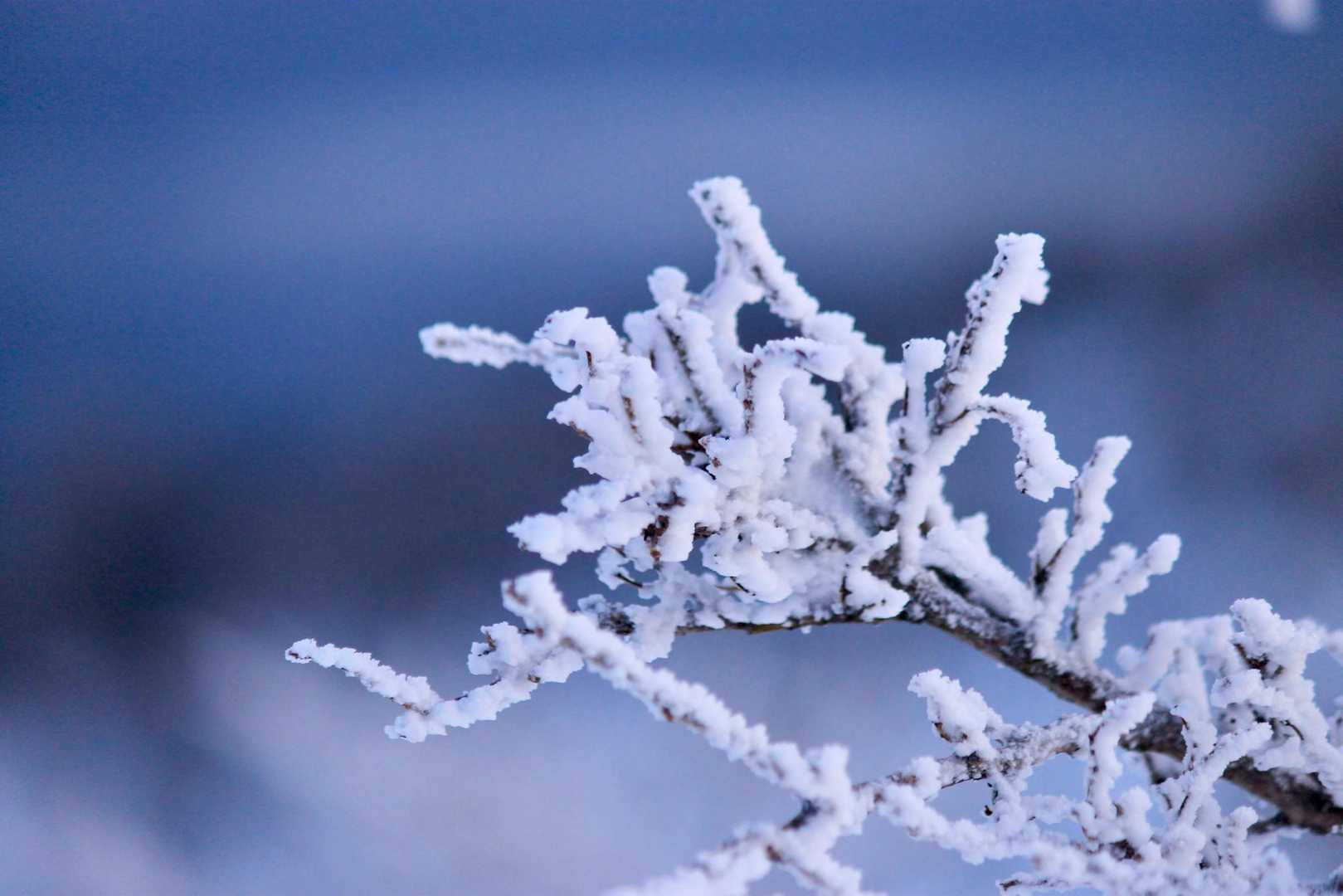 コチラにも❄️
前日のレポでは無かったので、やはり予想通りと言うか、雪降ったみたい💕