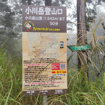 ここまでの林道が超悪路
運転したくありません