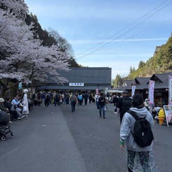 お疲れ様でした。まあ行くまで時間かかりますがドンピシャのタイミングで見られて大満足でした。