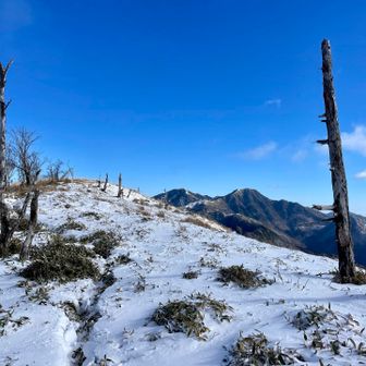 ずっとアニマルトレースを追って歩いてきた
おそらくは鹿だろうか、本当に助かった
