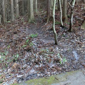 左側に登ります