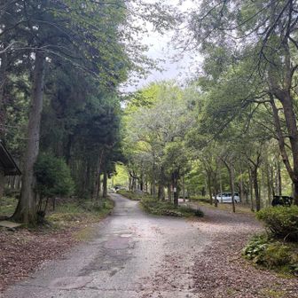 こんな上にも駐車場があったみたい