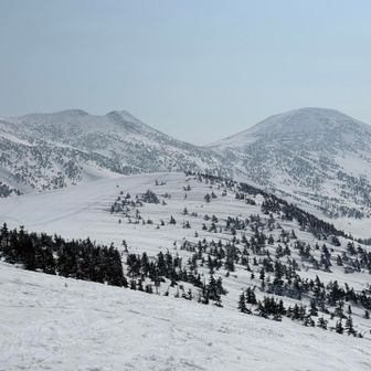 少し明るいか🔆