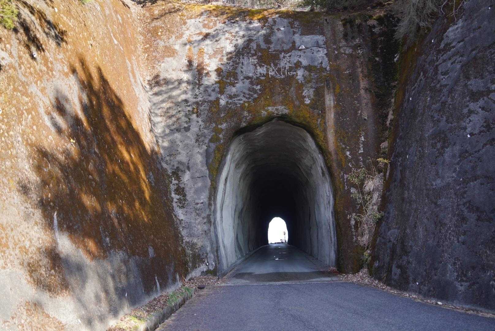 ここのトンネル、ちょっと怖い😱
私、1人だったら多分無理💦