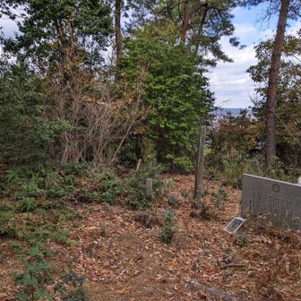 山頂。本郷町南方小学校校歌の碑がある。子ども達よくここに来てたのかな。