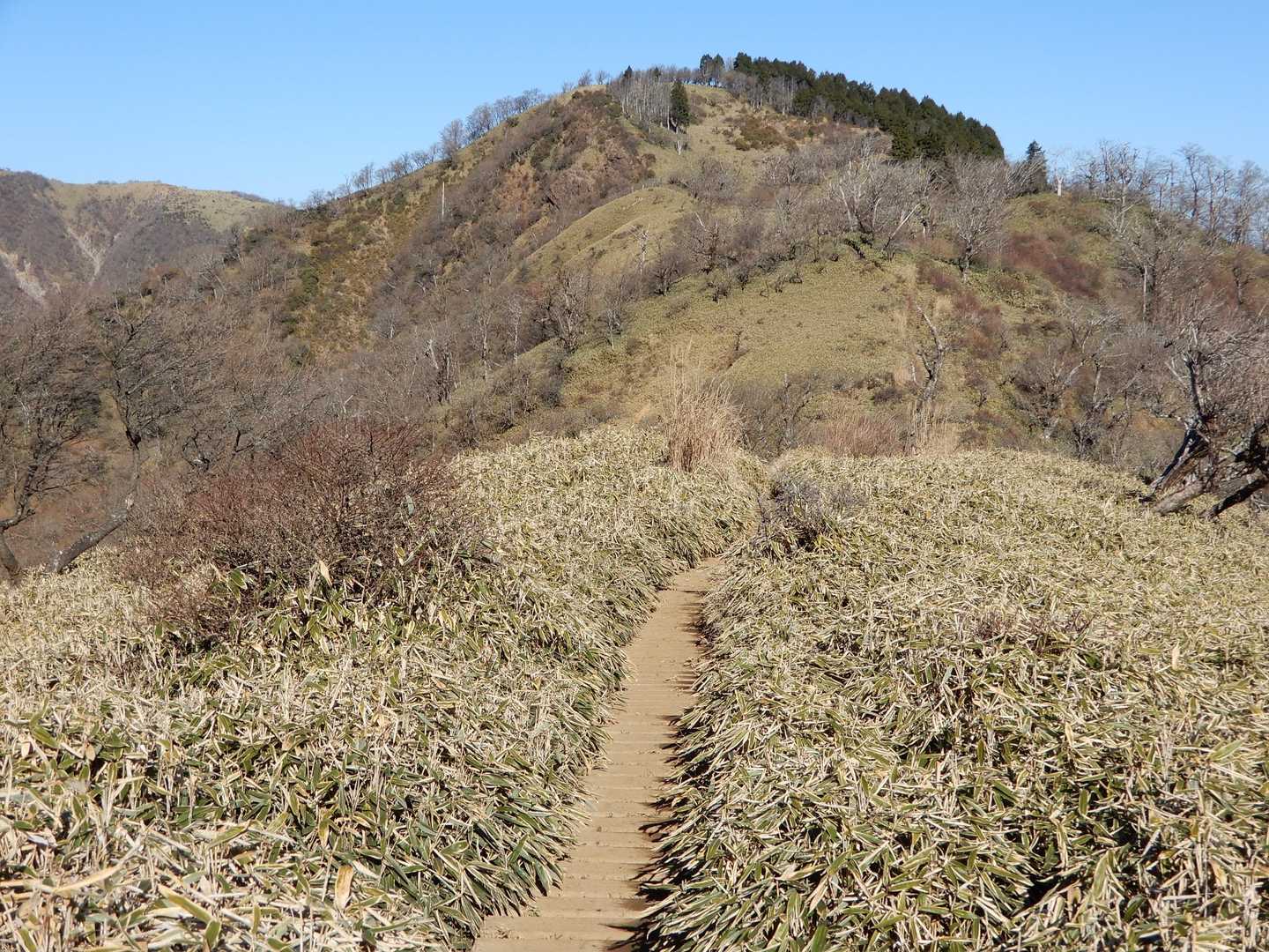 丹沢山へ続く道