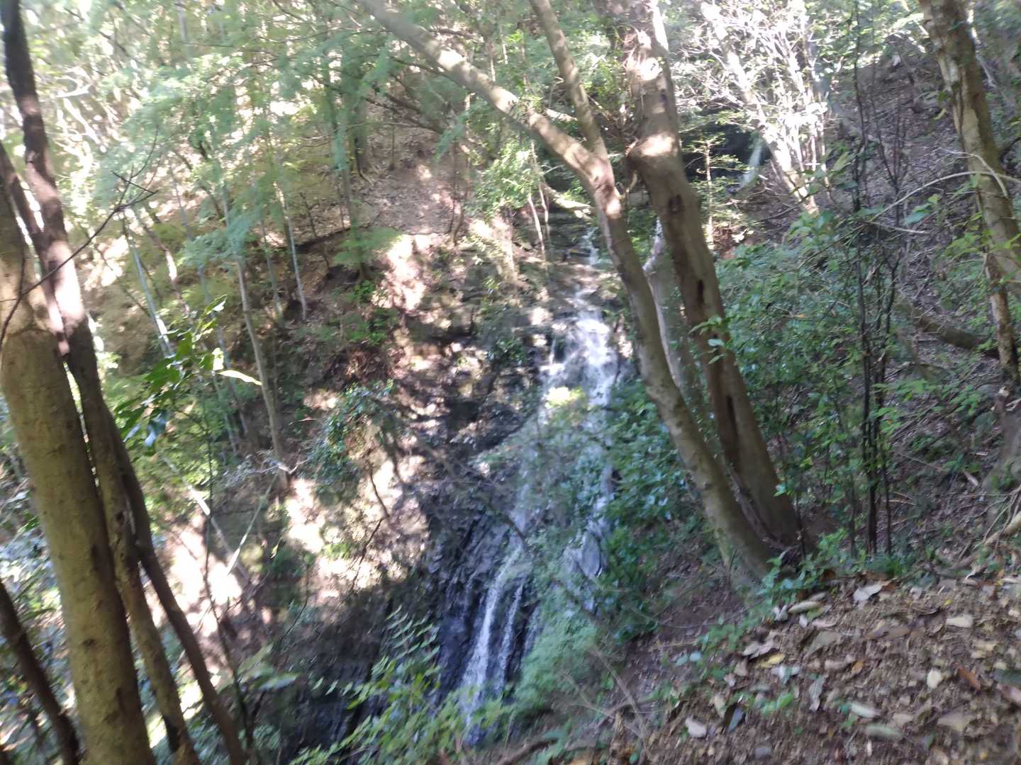 粟ヶ岳 往復コースの写真