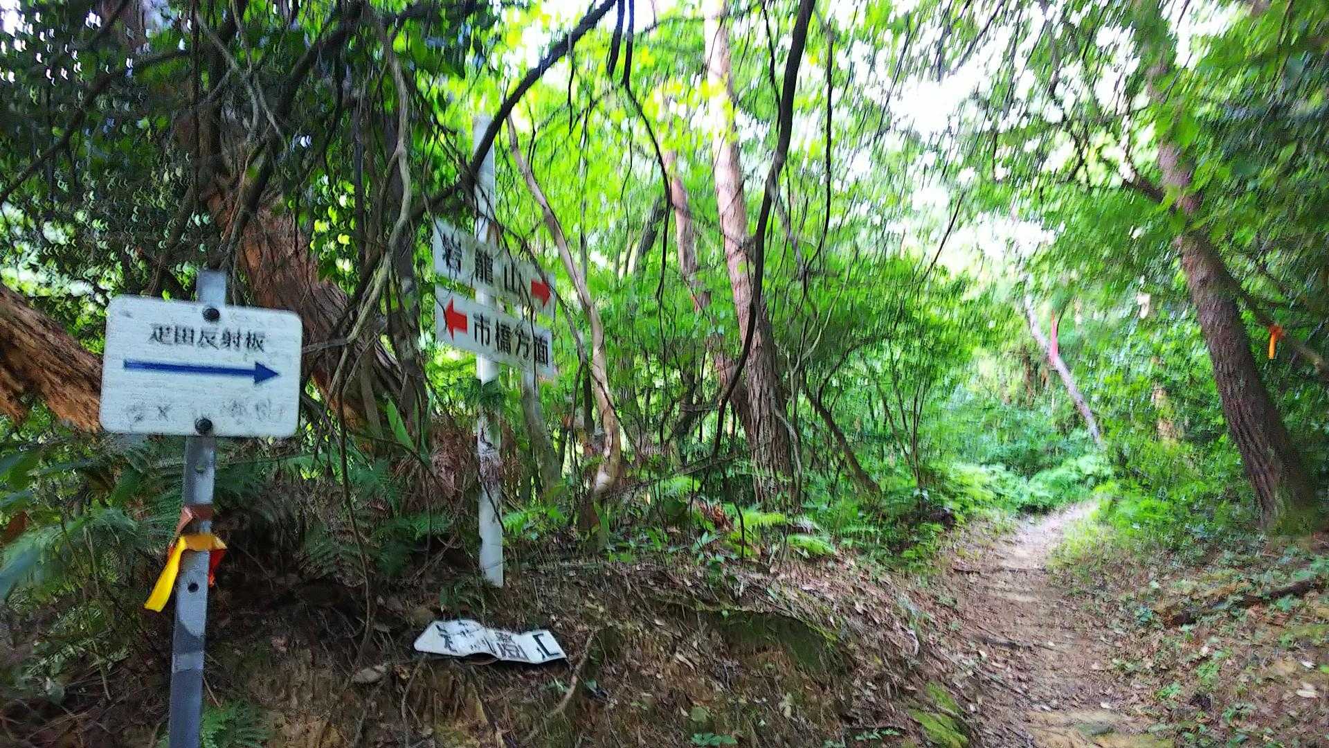 反射板の管理を兼ねてる登山道なんだね〜!