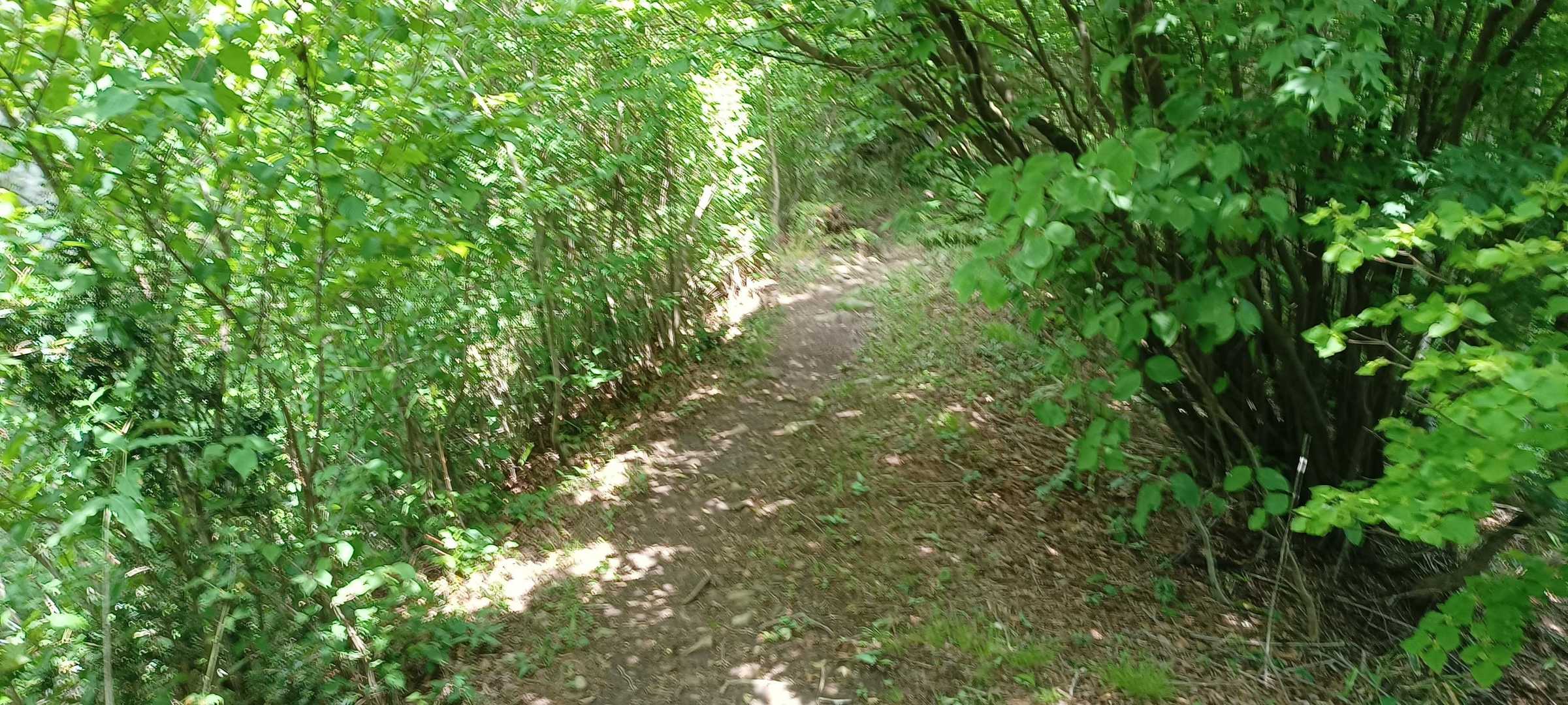 快適な道
