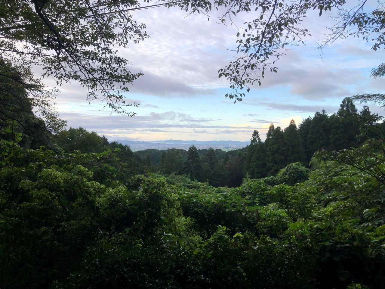 下りの途中の見晴らしが良い所からパシャリ📸
こちらも発心山・鷹取山方面です⛰☺️
