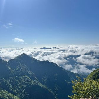 山頂で景色を堪能し下山へ。