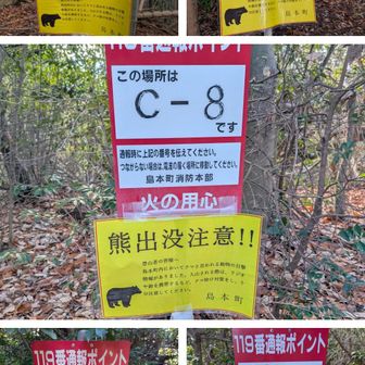 熊出没注意で熊発見。熊発見、5個。C-6～C-10に表示。出会えたらレア。アナグマ、鹿、リスの姿または痕跡は見た事あり。熊はなし。