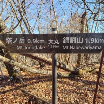 小丸、大丸と2つのピークを越えて来た💡手応えのあるアップダウンを繰り返す💦