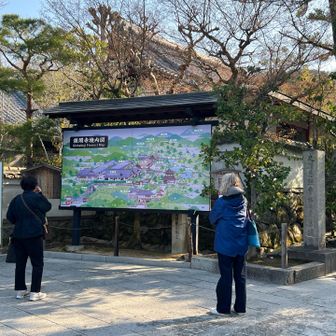 朝はインバウンドの方ちらほら