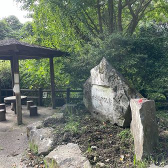 ゴール