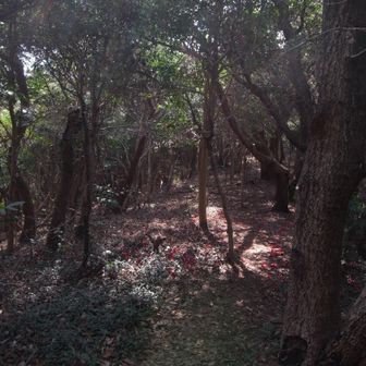 汗も引いて、気持ちいいです。