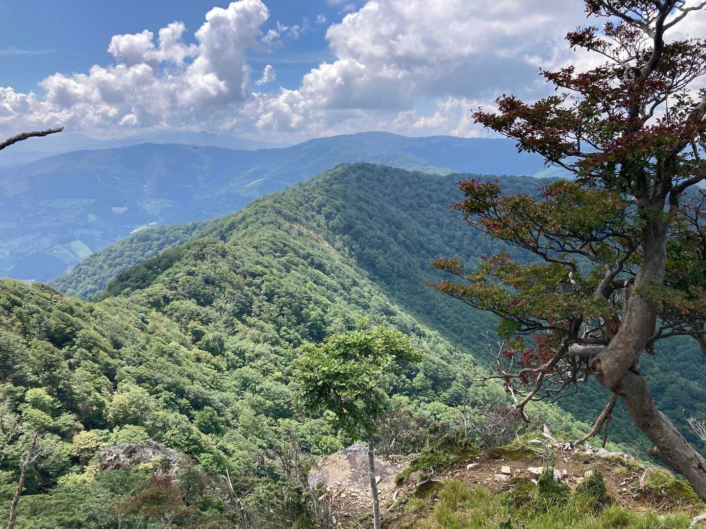 山頂からの眺め　白鳥山・時雨岳方面