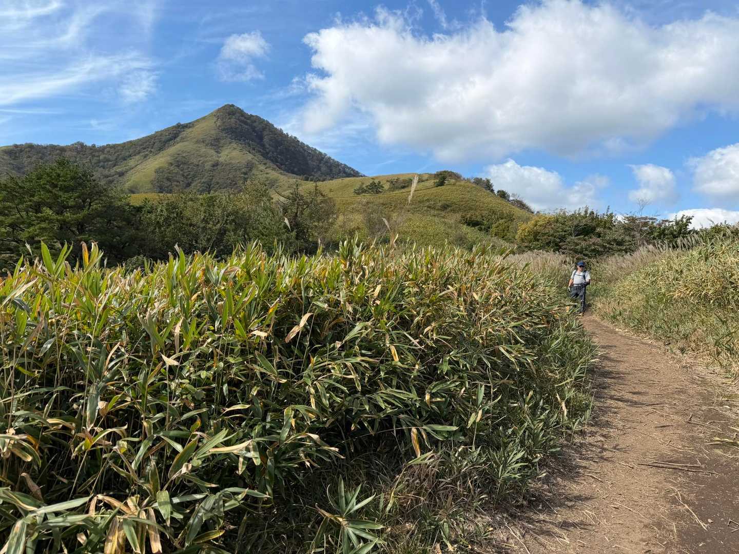 急登が終われば、心和む美しい登山道❣️