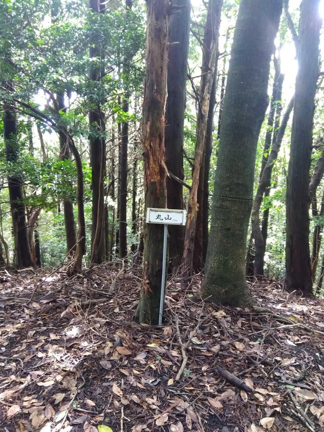 1時間かかって丸山、汗だく💦